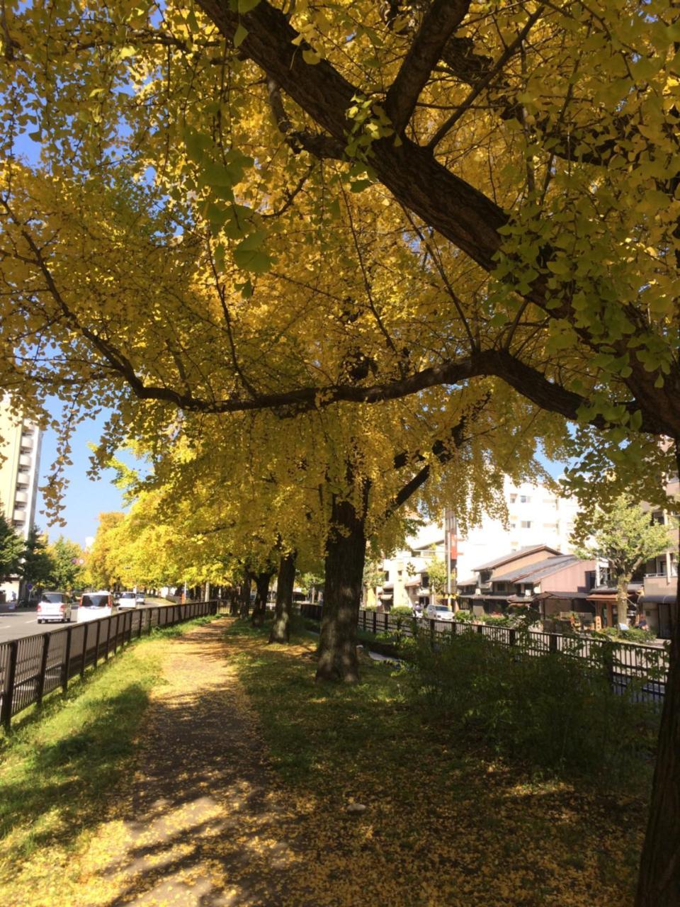 Ichijo Premium Villa Kyoto Bagian luar foto